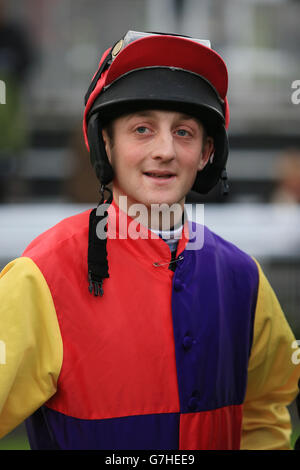 Les courses de chevaux - Tingle Creek Festival de Noël - Sandown Park Racecourse Banque D'Images