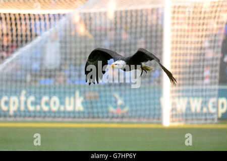 Football - Barclays Premier League - Crystal Palace v Stoke City - Selhurst Park.La mascotte du Crystal Palace Kayla, un aigle de Bald d'Amérique du Nord Banque D'Images
