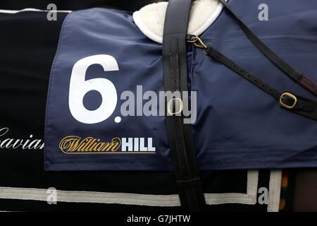 Courses hippiques - 2014 William Hill Winter Festival - première journée - Kempton Park.Détail de la toile de selle de Stlar notion avant le William Hill - Télécharger l'App novices Limited handicap Chase Banque D'Images