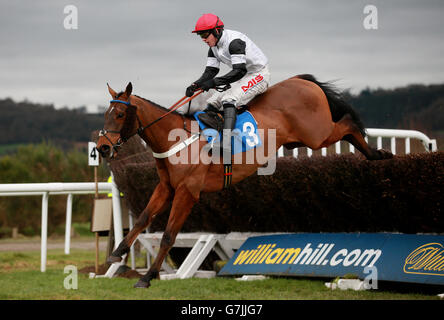 Courses hippiques - Hippodrome de Ludlow. Limited handicap Chase à l'hippodrome de Ludlow, Ludlow. Banque D'Images