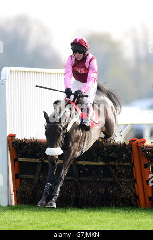 Arzal monté par Richard Johnson pendant les étalons de l'EBF de Coolmore L'obstacle « National Hunt » novices Banque D'Images