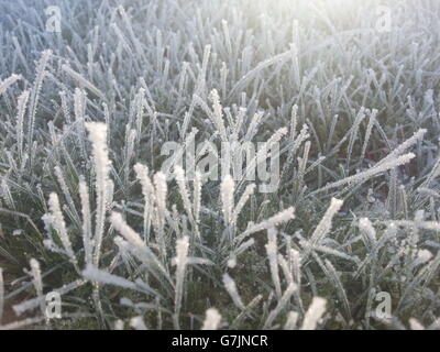 Météo d'hiver 29 Décembre 2014 Banque D'Images