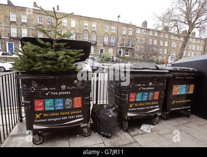 Recyclage des arbres de Noël.Un arbre de Noël est jeté dans un bac de recyclage ménager dans une rue d'Islington, Londres. Banque D'Images