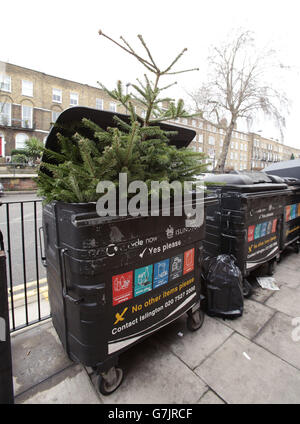 Un arbre de Noël est jeté dans un bac de recyclage ménager dans une rue d'Islington, à Londres. APPUYEZ SUR ASSOCIATION photo. Date de la photo: Dimanche 4 janvier 2015. Le crédit photo devrait se lire: Yui Mok/PA Wire Banque D'Images