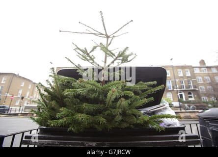 Un arbre de Noël est jeté dans un bac de recyclage ménager dans une rue d'Islington, à Londres. APPUYEZ SUR ASSOCIATION photo. Date de la photo: Dimanche 4 janvier 2015. Le crédit photo devrait se lire: Yui Mok/PA Wire Banque D'Images