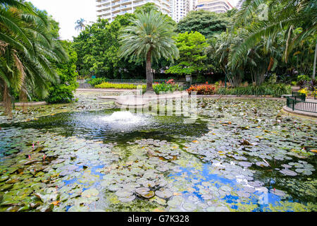 Jardins botaniques de la ville proche de centre-ville de Brisbane, Australie Banque D'Images
