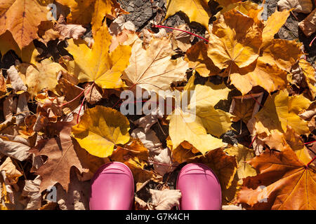 Enfant avec des bottes en caoutchouc rose en automne Banque D'Images