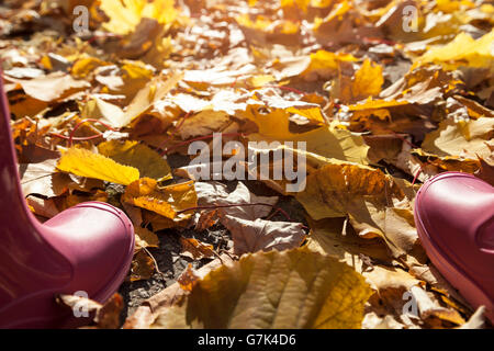 Bottes en caoutchouc femme en automne Banque D'Images