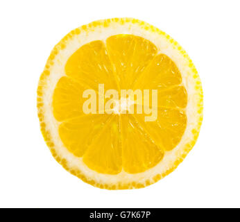 Tranche de citron isolated on white Banque D'Images