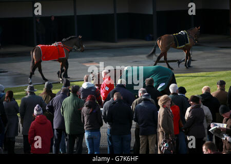 Les courses de chevaux - Betfred Classic Chase 24 - Hippodrome de Warwick Banque D'Images