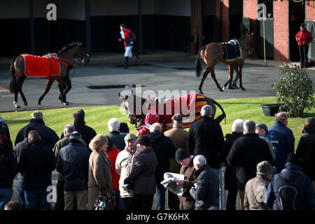 Les Racegoers étudient les coureurs du paddock sur Betfred Classic Chase Day Banque D'Images