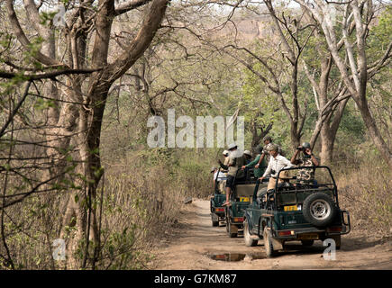 L'image d'dans Safari a été prise à Ranthambore, Inde Banque D'Images