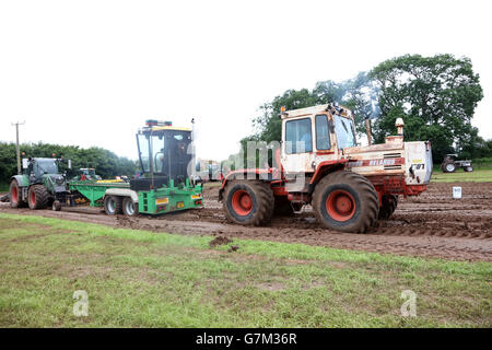 SWTPA événement à Greendale Farm, Draycott, Somerset, près de Cheddar. 26 Juin 2016 Banque D'Images