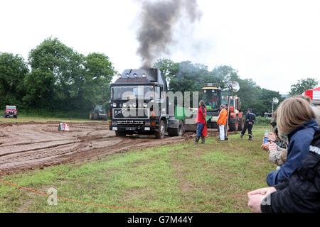 SWTPA événement à Greendale Farm, Draycott, Somerset, près de Cheddar. 26 Juin 2016 Banque D'Images