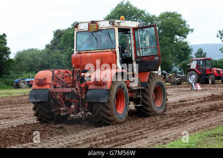 SWTPA événement à Greendale Farm, Draycott, Somerset, près de Cheddar. 26 Juin 2016 Banque D'Images