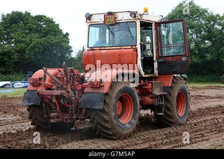 SWTPA événement à Greendale Farm, Draycott, Somerset, près de Cheddar. 26 Juin 2016 Banque D'Images