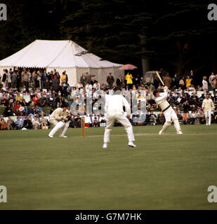 Match de cricket - Tour - le duc de Norfolk XI v Australie Banque D'Images