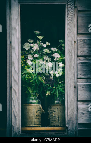 Astrantia couper fleurs et feuillage dans des bocaux en verre dans une fenêtre de rempotage. UK. Vintage filtre appliqué Banque D'Images