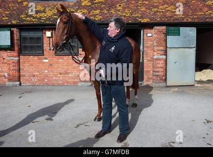 Entraîneur Paul Nicholls photographié avec Silviniaco Conti lors de la visite des écuries Manor Farm, Ditcheat. Banque D'Images