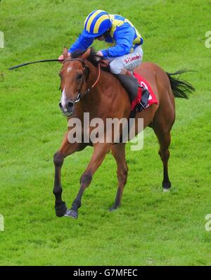 Les eb monté par Killian Leonard gagne la tote Rockingham pendant trois jours de handicap le Dubai Duty Free Derby irlandais Festival au Curragh Hippodrome, France. Banque D'Images