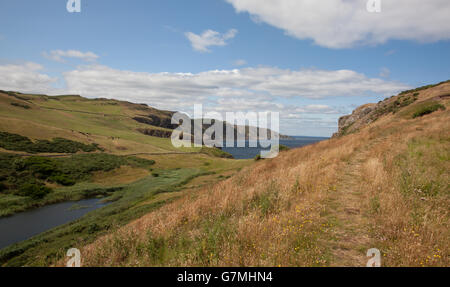 St Abbs Hillside Banque D'Images