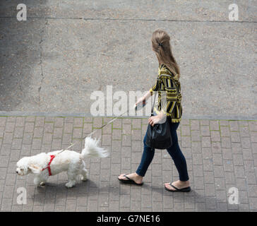 Une jeune femme marche son chien dans l'East End londonien Banque D'Images