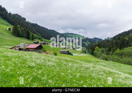 Turbach, un hameau dans la vallée de Turbach, près de Gstaad, Suisse. Fermes et meadows contre un décor de montagnes. Banque D'Images