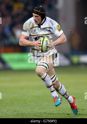 Rugby Union - LV = Cup - Pool 2 - Northampton Saints v guêpes - Franklin's Gardens Banque D'Images