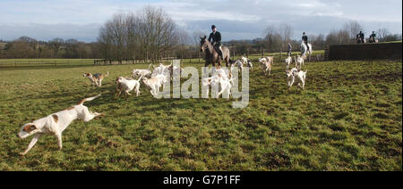 Tenants de la chasse au phoque ont perdu la bataille de la Haute Cour d'annuler l'interdiction de la chasse avec des chiens Banque D'Images