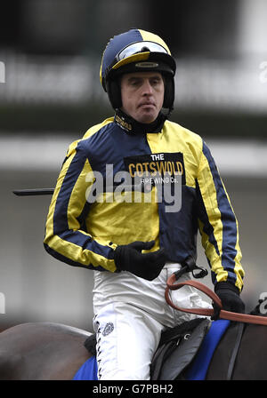 Les courses de chevaux - Ascot Chase Raceday - Ascot Racecourse Banque D'Images