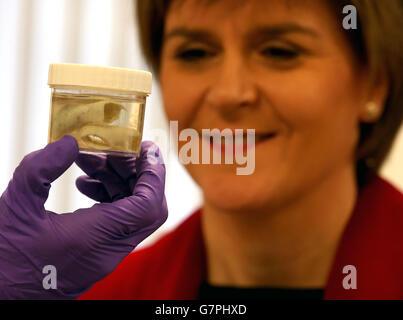 Le premier ministre Nicola Sturgeon voit une structure vasculaire 3D simulée de l'intérieur du cœur, réalisée par 3D Bio Printer, lors d'une visite au laboratoire des sciences de la vie Heriot-Watt, à l'Université Heriot-Watt, après un exposé sur la publication dépenses gouvernementales et revenus de l'Écosse (2013-14). Banque D'Images