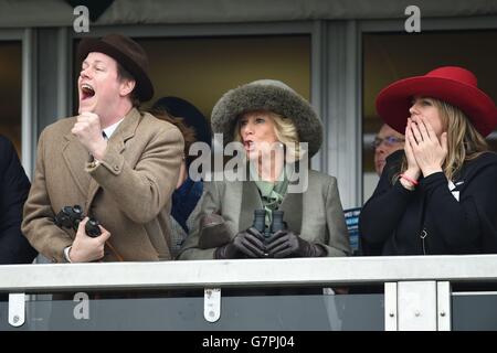 Les courses de chevaux - 2015 - Festival de Cheltenham Ladies Day - l'Hippodrome de Cheltenham Banque D'Images