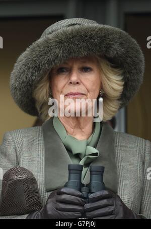 La duchesse de Cornwall observe l'obstacle des novices de Neptune Investment Management à l'occasion de la Journée des dames, lors du Cheltenham Festival à l'hippodrome de Cheltenham. Banque D'Images