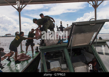 Saisie de la pêche illégale de l'état d'Amazonas Police de l'environnement dans la ville de Manaus, Brésil nord - Filet de poisson pirarucu bandes - le pirarucu, également connu sous le nom de l'arapaima ou paiche Arapaima gigas ( ) est un poisson d'eau douce tropicaux d'Amérique du Sud, c'est un fossile vivant et l'un des plus grands poissons d'eau douce dans le monde. Banque D'Images