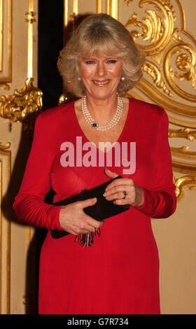 Camilla Parker Bowles dans la grande salle de réception du château de Windsor, après avoir annoncé qu'elle épousera le prince de Galles le 8 avril. Banque D'Images
