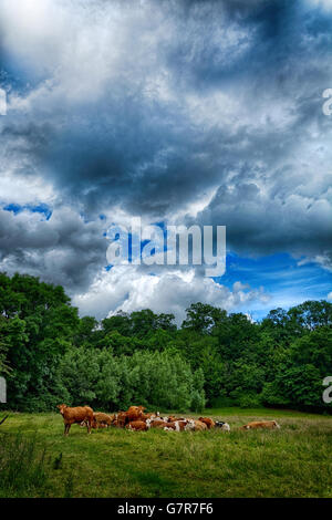 L'Herefordshire paysage a été peint par Brian Hatton maintenant revécu en marchant le sentier Hatton sous ciel ouvert à côté de la Wye. Banque D'Images