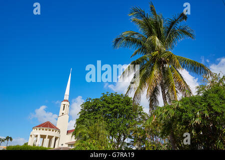 Del Ray Delray Beach en Floride USA palmiers street Banque D'Images