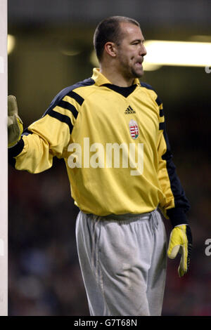 Football - International friendly - pays de Galles v Hongrie - Millennium Stadium. Gabor Kiraly, gardien de but hongrois Banque D'Images