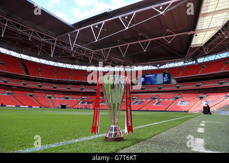 Soccer - le Trophée de peinture de Johnstone - Final - Bristol City v Walsall - Stade de Wembley Banque D'Images