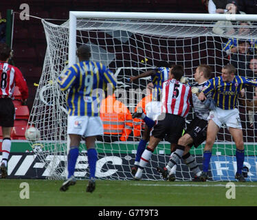 Football - coupe FA - Cinquième tour - Southampton v Brentford - St Mary's. Sam Sodje de Brentford marque l'égaliseur Banque D'Images