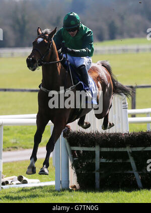 Horse Racing - Grand National irlandais BoyleSports Jour - Hippodrome Fairyhouse Banque D'Images