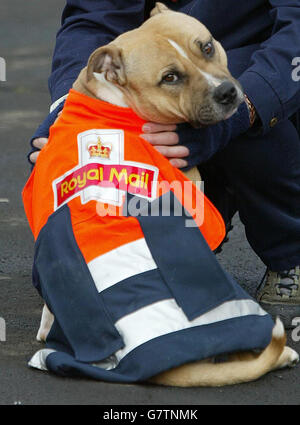 Un postier et son chien - Tynemouth Banque D'Images