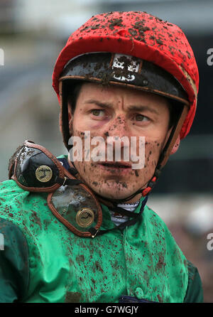 Les courses de chevaux - 2015 Festival de Cheltenham Gold Cup - Journée - l'Hippodrome de Cheltenham Banque D'Images