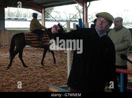 Les courses de chevaux - Nicky Henderson d'équitation Journée Portes Ouvertes - Sept Barrows Banque D'Images