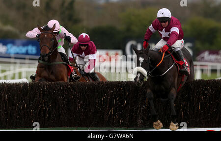 Don Cossack (à droite), monté par Paul Carberry, remporte la coupe d'or de la Bibby Financial Services Ireland Punchestown lors de la coupe d'or de la Bibby Financial Services Ireland Punchestown au Punchestown Racecourse, Co. Kilare, Irlande. APPUYEZ SUR ASSOCIATION photo. Date de la photo: Mercredi 29 avril 2015. Voir PA Story RACING Punchestown. Le crédit photo devrait se lire comme suit : Brian Lawless/PA Wire Banque D'Images