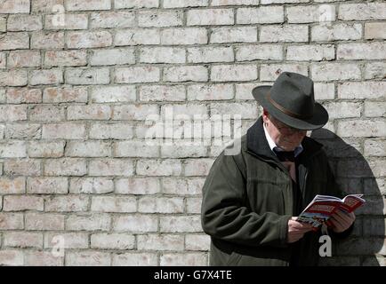 Courses hippiques - Punchestown Festival 2015 - Ladbrokes World Series Hurdle Day - Punchestown Racecourse.Un racegoer étudie sa carte de course lors de la Journée mondiale des haies de Ladbrokes à l'hippodrome de Punchestown, Co. Kilare, Irlande. Banque D'Images