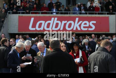 Horse Racing - Festival 2015 - L'Punchestown Groupe Queally célébrant 35 années à Naas Champion Hurdle Punchestown Jour - P... Banque D'Images