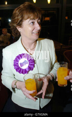 La candidate indépendante à l'élection partielle de North Kildare, Catherine Murphy, célèbre sa victoire avec une boisson non alcoolisée partagée avec son collègue indépendant TD, le Dr Jerry Cowley (non illustré) indépendant TD pour Mayo. Banque D'Images