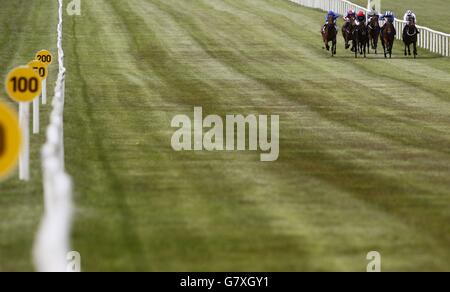 Coureurs et cavaliers lors de la course Zoffany European Breeders Fund au Curragh Racecourse, Co Kildare, Irlande. Banque D'Images