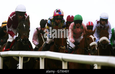 Courses hippiques - Punchestown Festival 2015 - Bibby Financial Services Irlande Punchestown Gold Cup Day - Punchestown Racecourse.Coureurs et cavaliers pendant la journée de la coupe d'or Punchrtown de Bibby Financial Services Ireland à l'hippodrome de Punchrtown, Co. Kilaare, Irlande. Banque D'Images